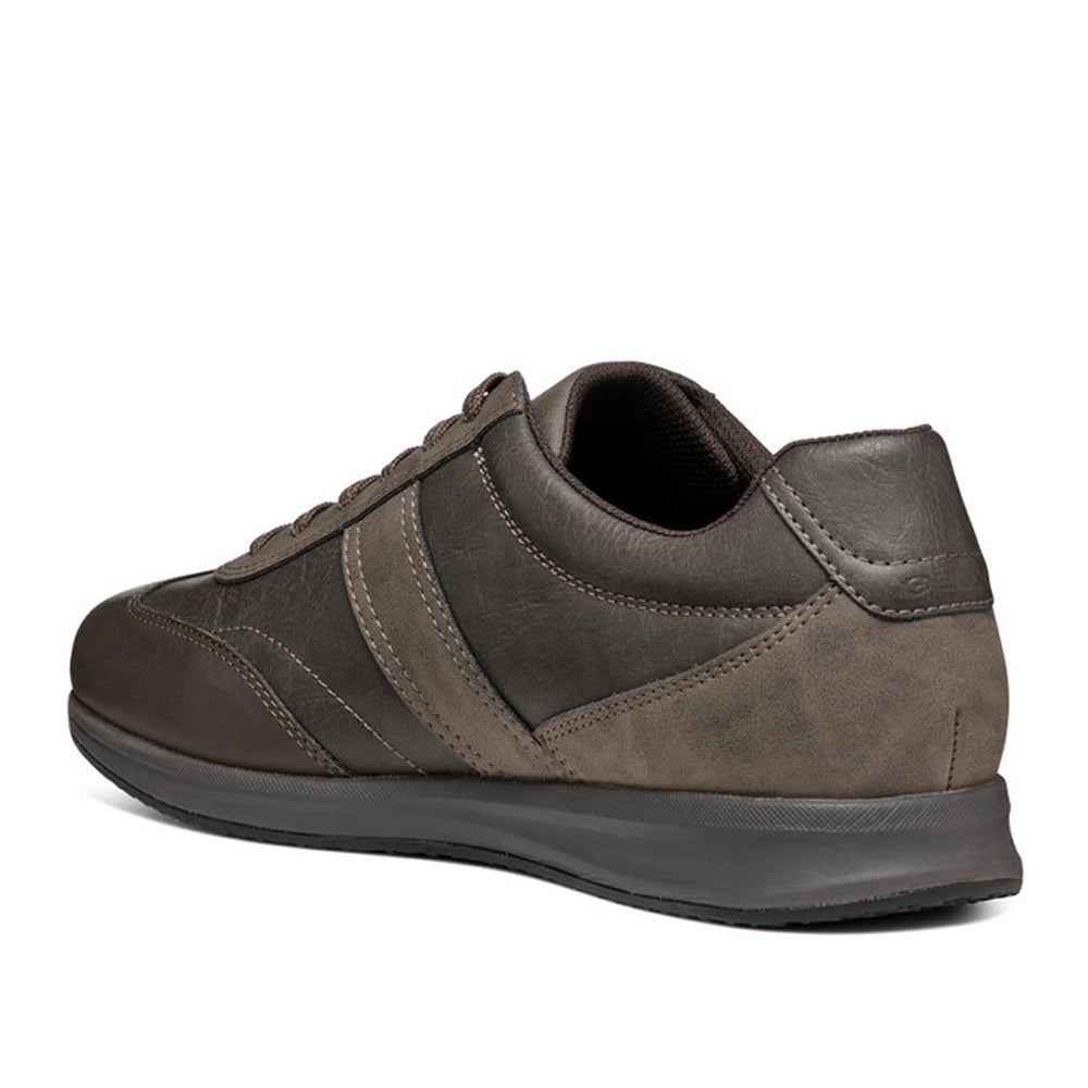 Sneakers Geox Avery Uomo - Marrone