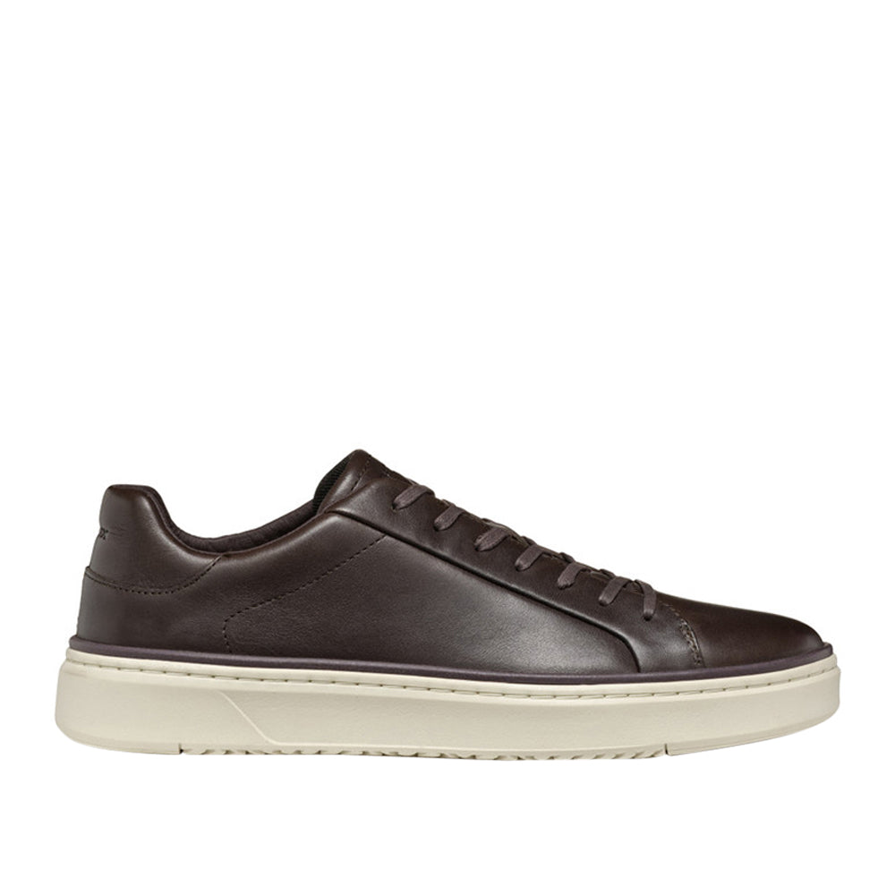 Sneakers Geox Zackerty Uomo - Marrone