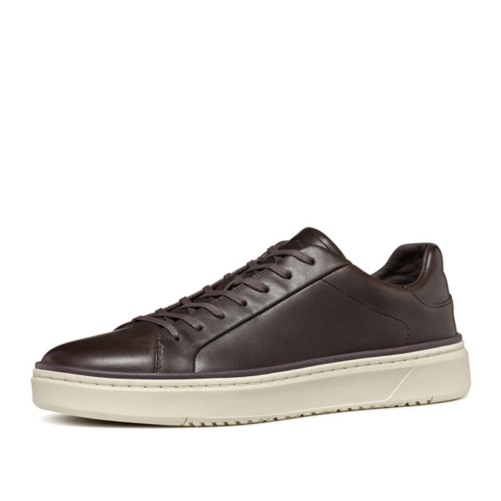 Sneakers Geox Zackerty Uomo - Marrone