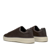 Sneakers Geox Zackerty Uomo - Marrone