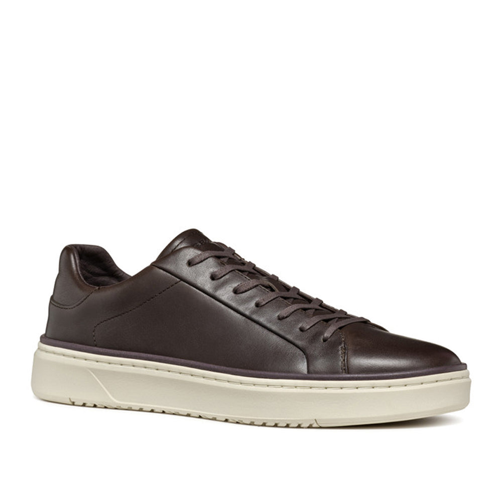 Sneakers Geox Zackerty Uomo - Marrone