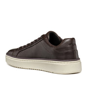 Sneakers Geox Zackerty Uomo - Marrone