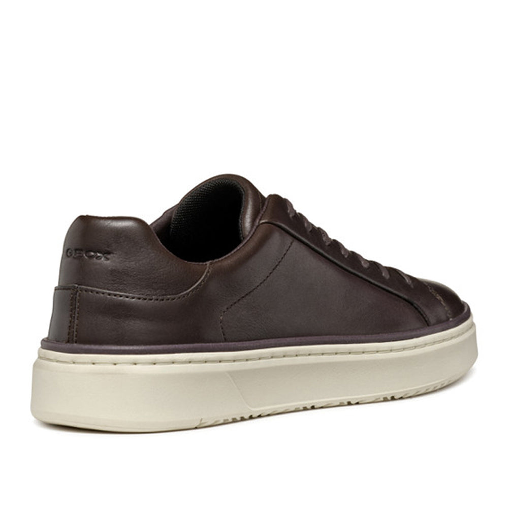 Sneakers Geox Zackerty Uomo - Marrone