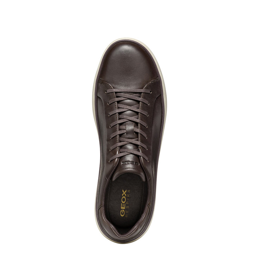 Sneakers Geox Zackerty Uomo - Marrone